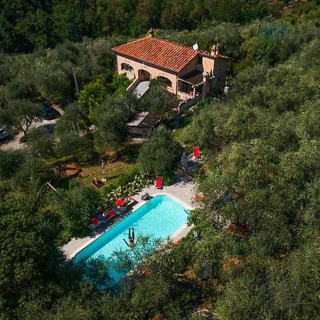 Casa Del Sole Bed & Breakfast Камайоре Екстериор снимка